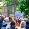Foto op Zuiderpark Live: Young Gun Silver Fox - 08/06 - Zuiderparktheater