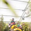 Foto Madalitso Band op Wilde Weide 2025