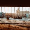 Foto  op Jera On Air 2025 - Zaterdag