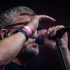 Racoon foto Spoorpark LIVE 2025