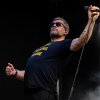 Racoon foto Spoorpark LIVE 2025