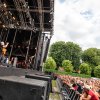 Foto Racoon op Spoorpark LIVE 2025