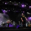 Racoon foto Spoorpark LIVE 2025