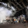 Foto Racoon te Spoorpark LIVE 2025