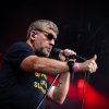 Racoon foto Spoorpark LIVE 2025