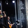Foto Racoon te Spoorpark LIVE 2025