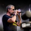 Racoon foto Spoorpark LIVE 2025
