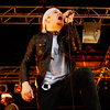 Foto The Hot Stewards op Bevrijdingsfestival Flevoland 2009