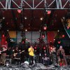 Foto De Niemanders op Down the Rabbit Hole 2025 - Zondag