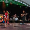 Spinvis foto Zuiderpark Live: Spinvis - 03/07 - Zuiderparktheater