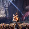 Cabaretinfo review: Zwarte Cross Festival 2025 - Donderdag