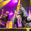 Sex Pistols Ft. Frank Carter
