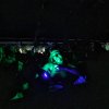 Foto  op Lowlands 2025 - Vrijdag