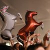 Foto op Lowlands 2025 - Zondag