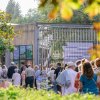 Cabaretinfo review: Zuiderpark Live: Danny Vera - 18/08 - Zuiderparktheater