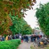 Foto  op Zuiderpark Live: Pink Project - 08/22 - Zuiderparktheater