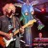 Foto Pink Project op Zuiderpark Live: Pink Project - 08/22 - Zuiderparktheater