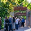 Podiuminfo review: Zuiderpark Live: Eefje de Visser - 24/08 - Zuiderparktheater