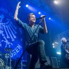 Die Toten Hosen