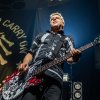Die Toten Hosen