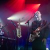 Foto Milan W op DIIV - 07/09 - Paard