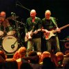 Foto The Animals op The Animals - 12/10 - Q-Factory