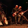 Foto The Animals op The Animals - 12/10 - Q-Factory
