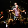 Foto The Animals op The Animals - 12/10 - Q-Factory