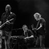 Foto The Animals op The Animals - 12/10 - Q-Factory