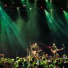 Foto The Animals op The Animals - 12/10 - Q-Factory