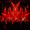 Marcus Miller foto Marcus Miller - 20/10 - Paard