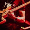 Marcus Miller foto Marcus Miller - 20/10 - Paard