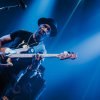 Marcus Miller foto Marcus Miller - 20/10 - Paard