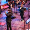 Foto  op Pet Sounds live - 06/11 - Concertgebouw