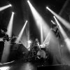 Foto Library Card te Altoooooh! FEST - 29/11 - Luxor Live
