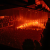 The Vices foto The Vices - 20/11 - Paard