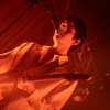 The Vices foto The Vices - 20/11 - Paard