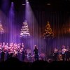 Clean Pete foto Clean Pete's Kerstshow - 20/12 - Doornroosje