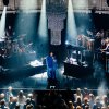 Foto Sylvie Kreusch op Sylvie Kreusch Paradiso