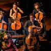 Amsterdam Sinfonietta foto Amsterdam Sinfonietta / Maria Mena - 19/01 - Concertgebouw