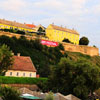 foto Exit 2009