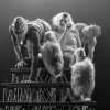 Festivalinfo review: Peaches - 24/04 - Doornroosje