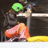 Podiuminfo review: Bevrijdingsfestival Brabant 2026