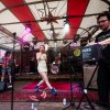 Dauwpop 2026 - Vrijdag foto
