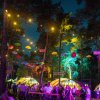 Dauwpop 2026 - Vrijdag foto