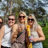 Dauwpop 2026 - Zaterdag foto