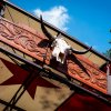 Dauwpop 2026 - Zaterdag foto