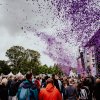 Zomerspektakel aan het Meer 2026 foto