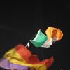 Foto op Sziget 2009