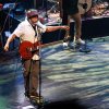 The Wailers - 26/06 - TivoliVredenburg foto